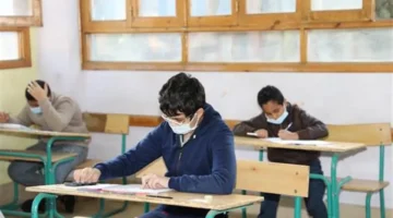 رابط مباشر.. كيفية الاستعلام عن نتائج الصفين الأول والثاني الإعدادي بالرقم القومي